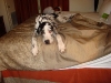 tx1290-15494137-1-x