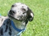 pete5
