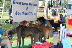 Alvin's Bark in the Park