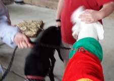 Bass Pro Shop 12-14-13