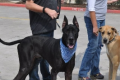 Bass Pro Shop 2-24-13