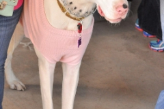 Bass Pro Shop Meet & Greet 1-18-14