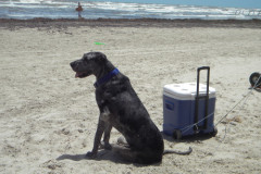 Beach Meetup 6/12/10