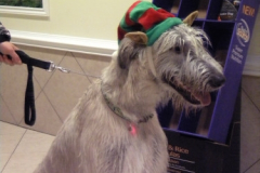 Howliday Party 09 12/05/09