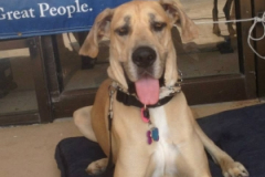 Kempner Band Block Party 5/18/13