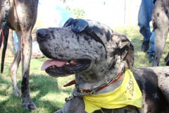 Meet & Greet Galveston 5/9/2009