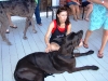 dsc08375_0