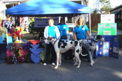 Old Town Spring Pet Fest 10/24/09-10/25/09