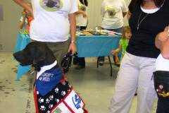 Totally Texas Festival 9/12/09