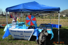 Turtle Race 02/06/10