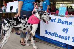 Woofstock 09 11/07/09