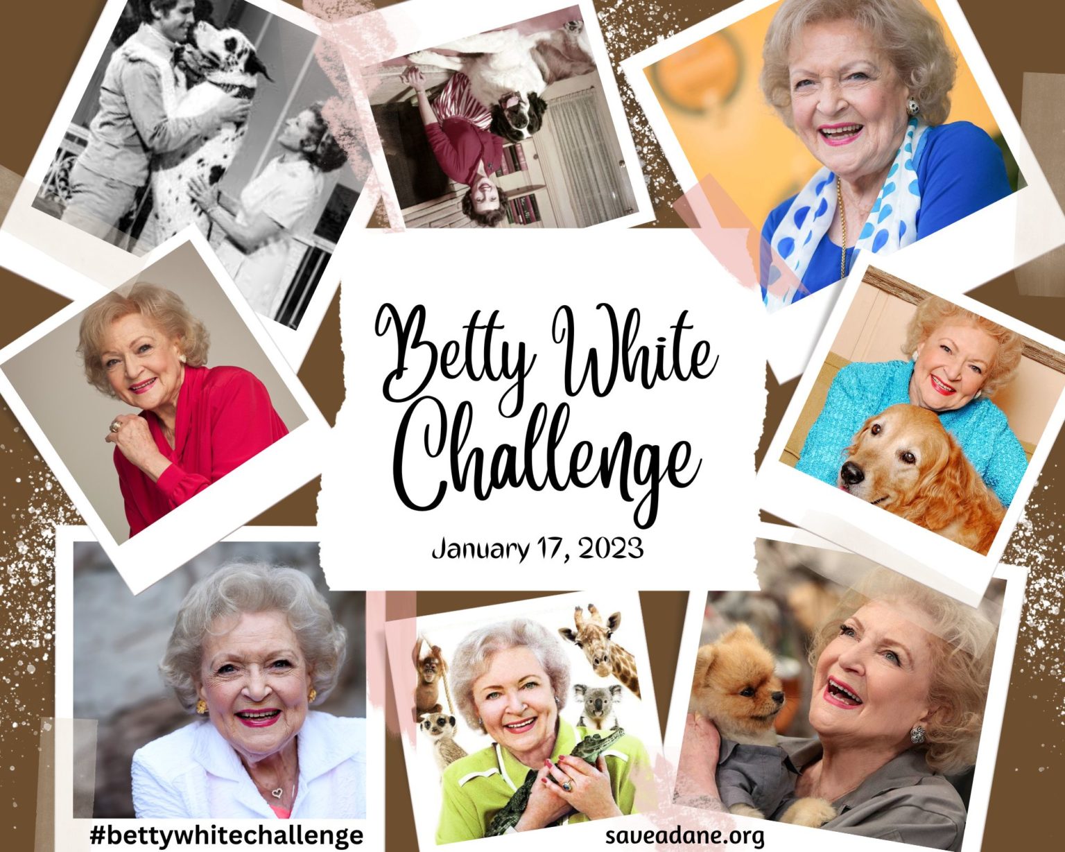 Betty White Challenge Great Dane Rescue of Southeast Texas Save a Dane GDRST